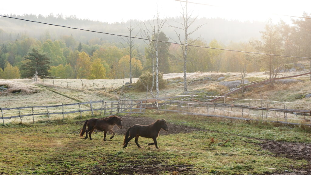 Winterstimmung in Skarsholt