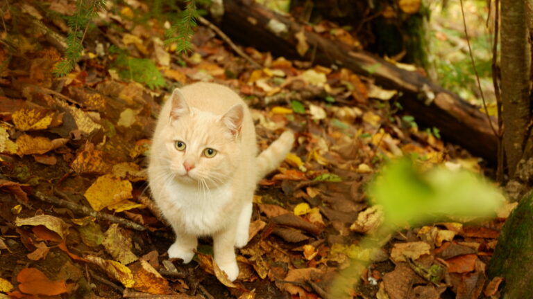 Sneo, Bewohner von Underdal