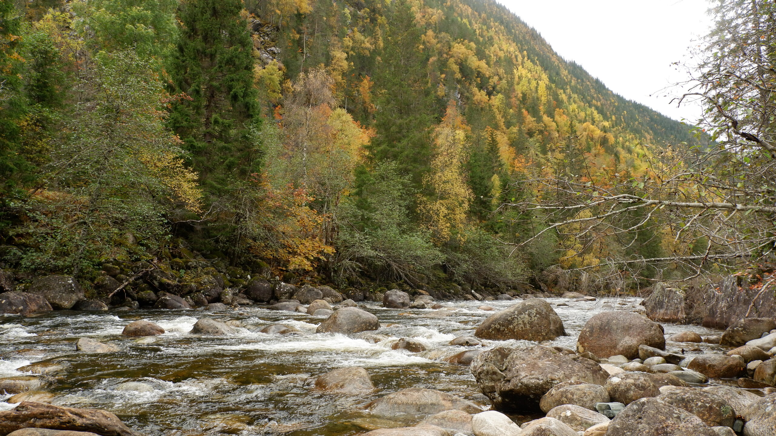 Fluss unter Underdal