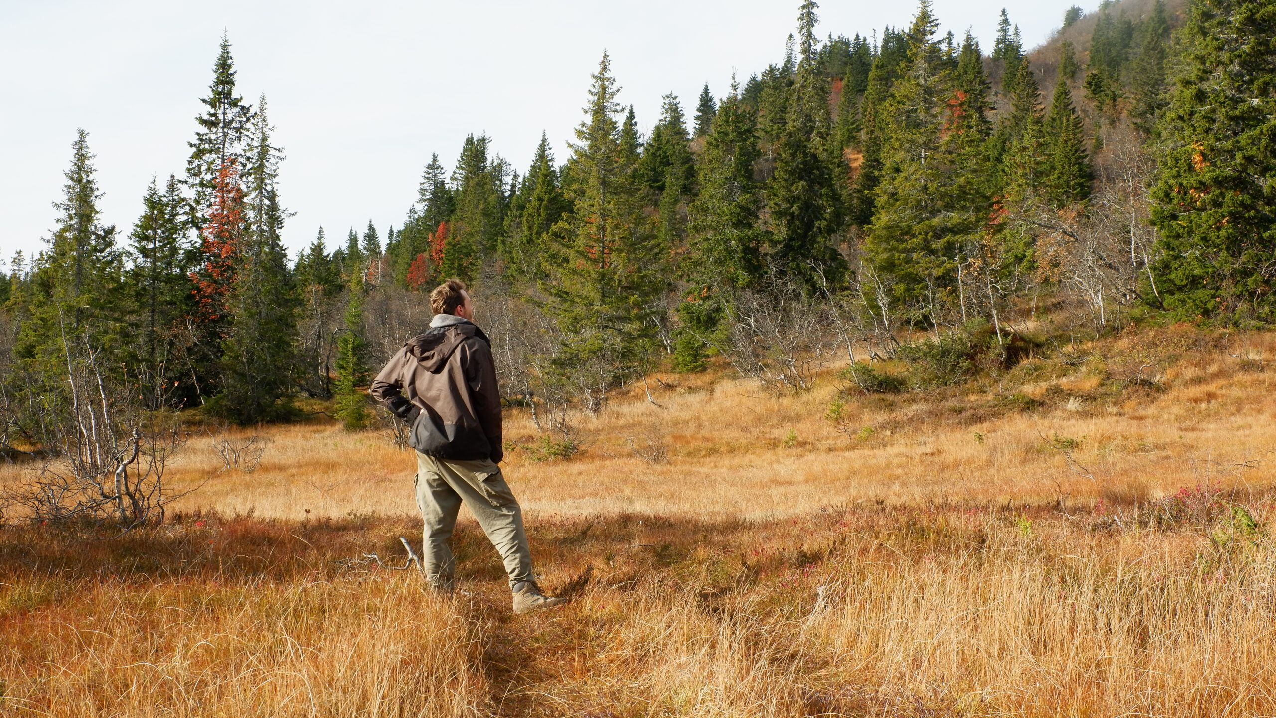 Geistreiche Betrachtung