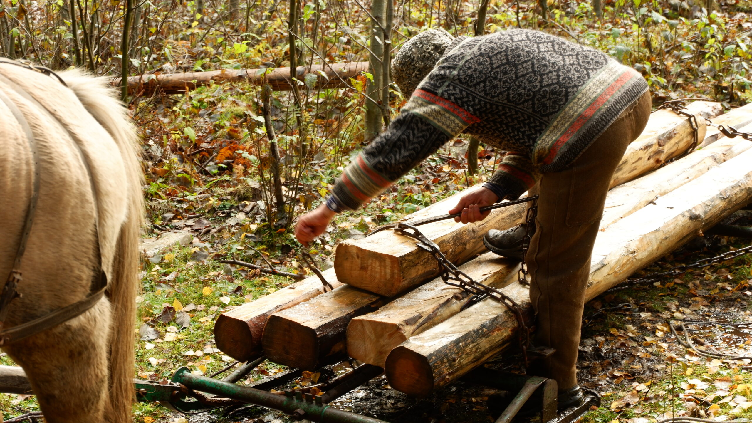 Daniel bei der Arbeit