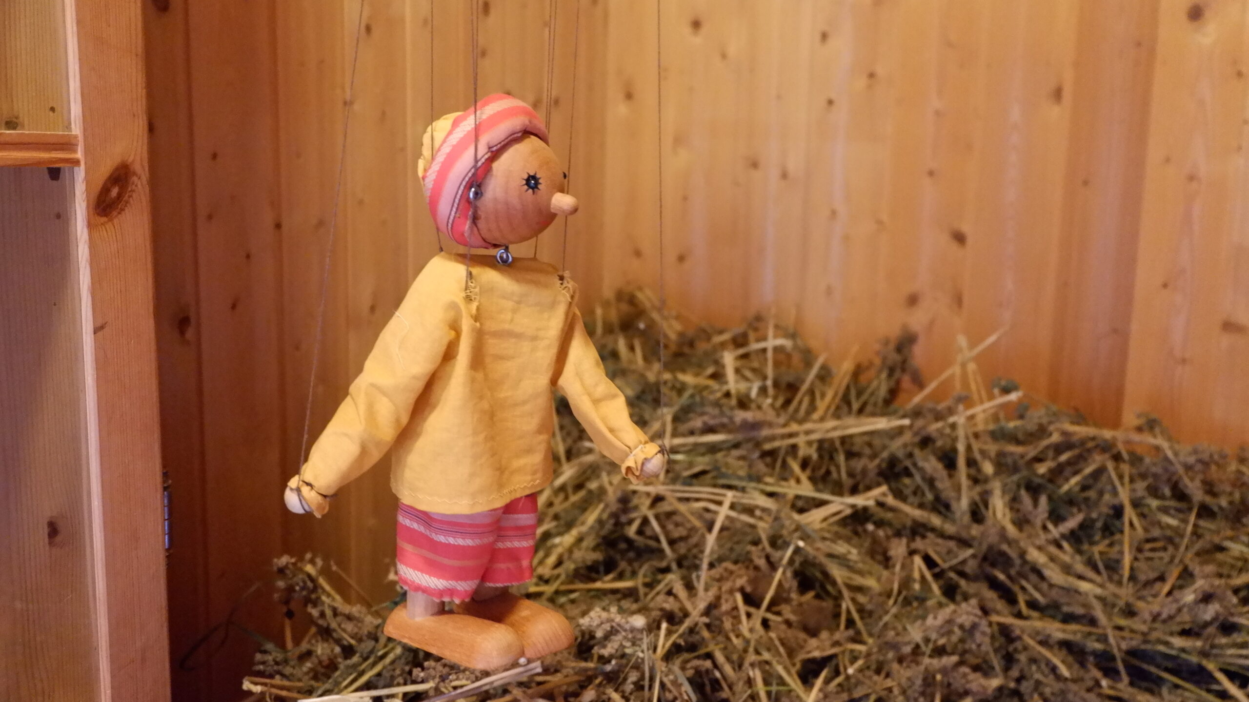 Reparierte Marionette von Johanna