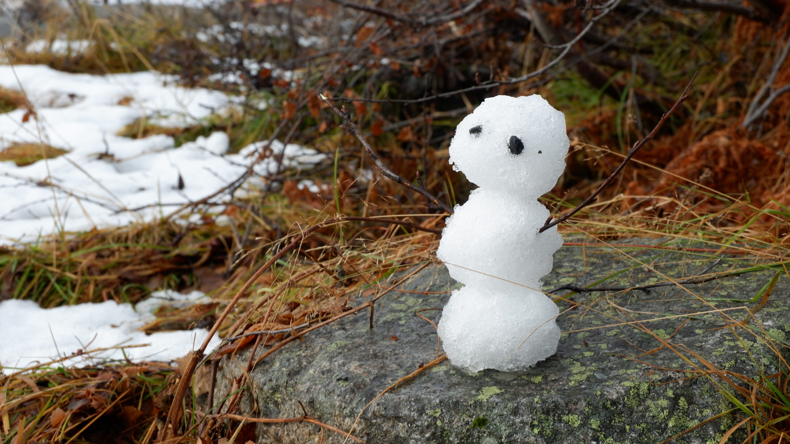 Ein erster Schneemann!