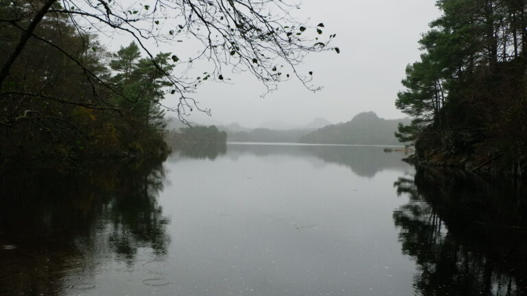 Am See bei Gripen gard