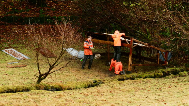 Wenn die Baustelle zum Circus wird