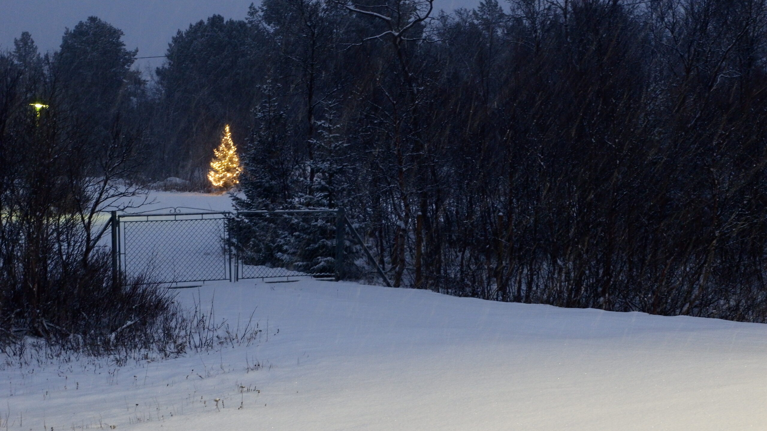 Weihnachten im Norden