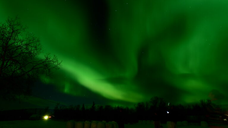 Ein tolles Polarlicht (hier etwas intensiver als in der Wirklichkeit)