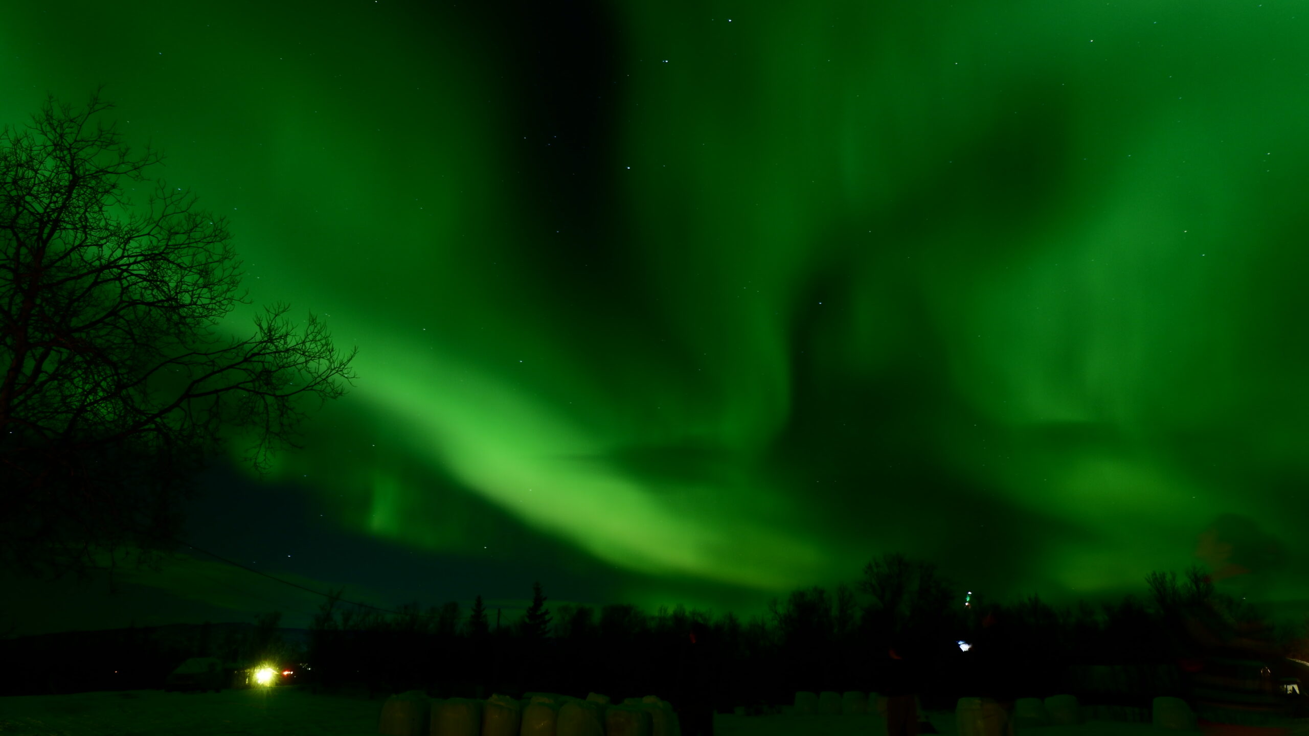 Ein tolles Polarlicht (hier etwas intensiver als in der Wirklichkeit)