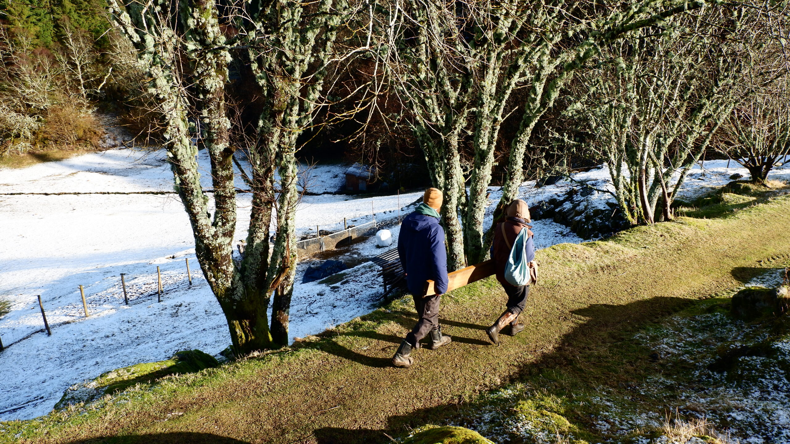 Korvin & Helene, ein Brett tragend